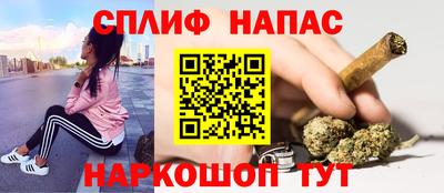 индика Пенза