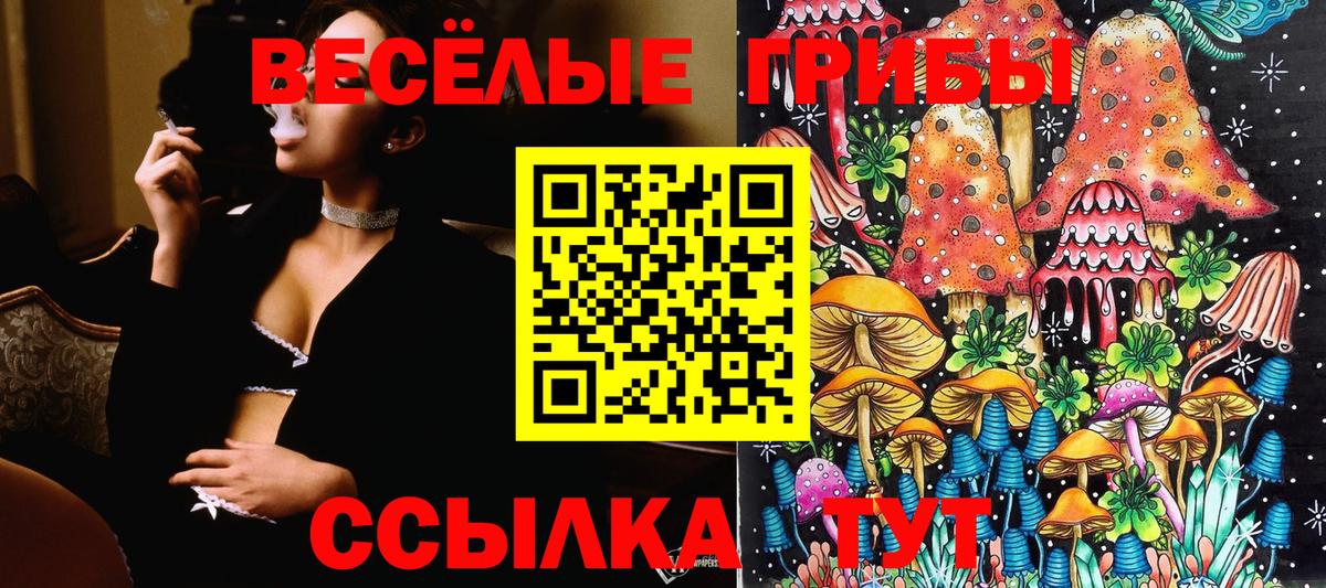 Галлюциногенные грибы мицелий Северобайкальск
