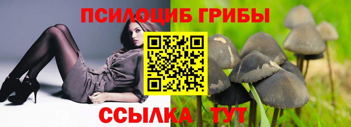 Галлюциногенные грибы мухоморы  Псилоцибиновые грибы мухоморы  Северобайкальск  Вход с VPN 